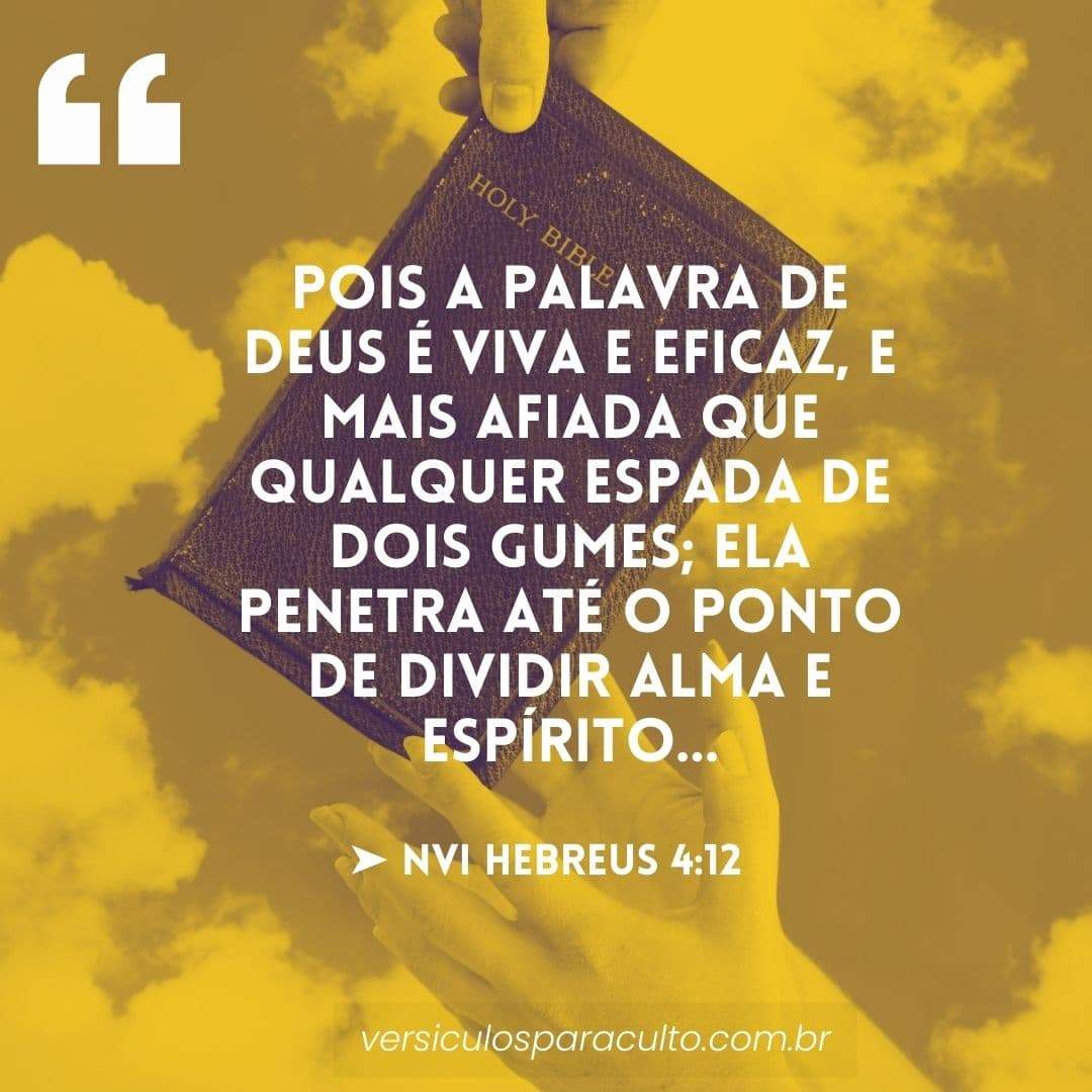 25 versículos sobre a Bíblia para refletir no poder da palavra de Deus ...