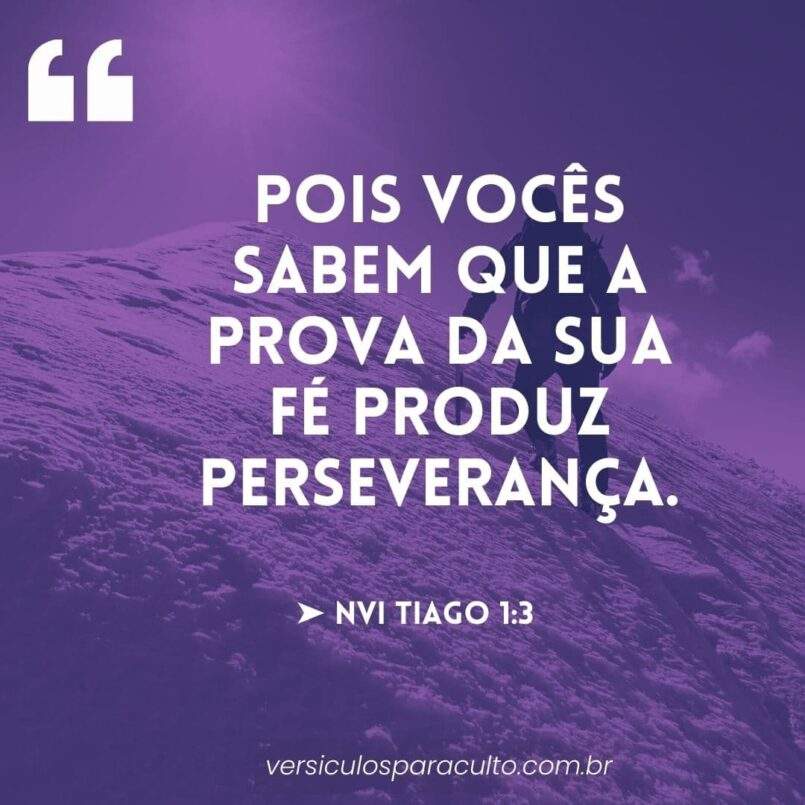 33 Vers culos Sobre Perseveran a Para Voc Permanecer Firme Em Seu 