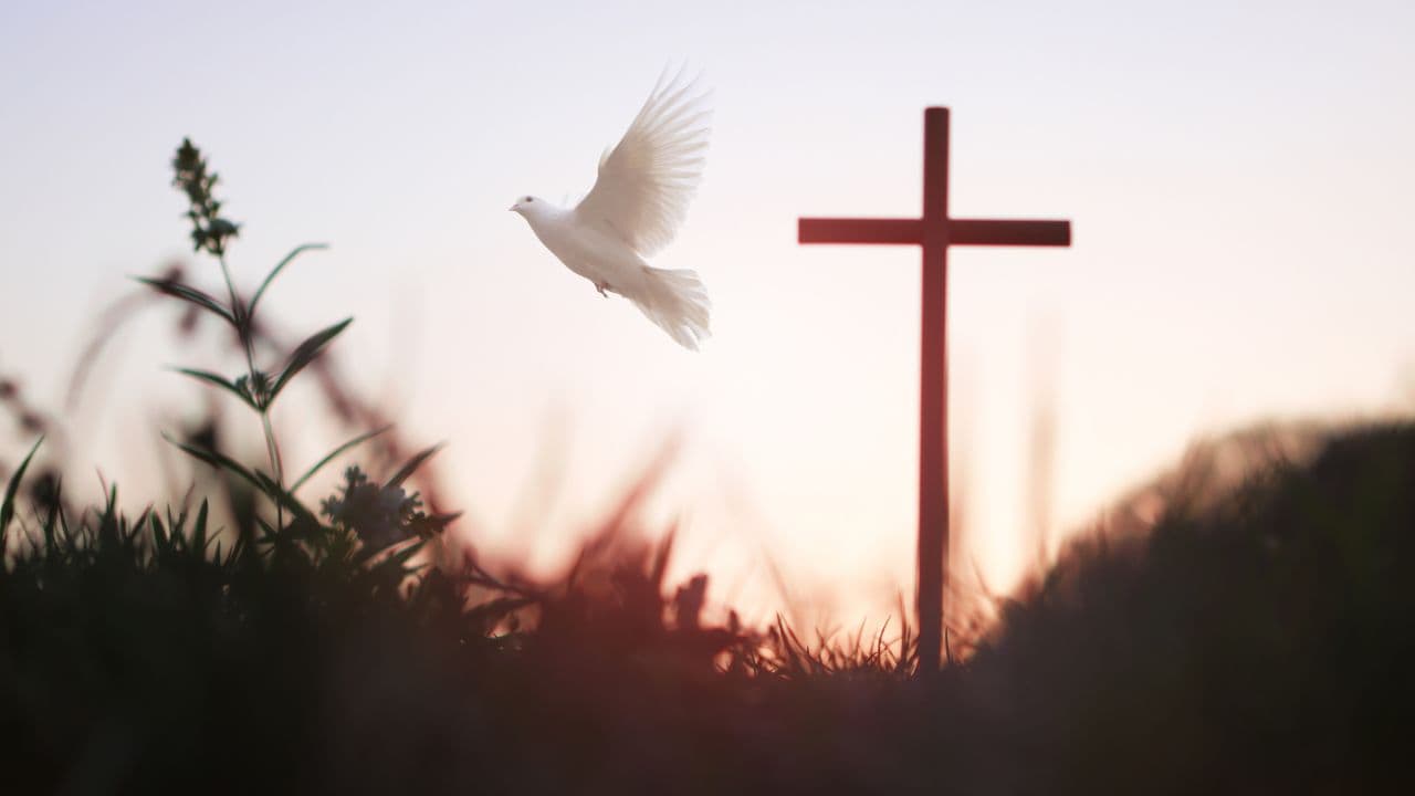 cruz de jesus