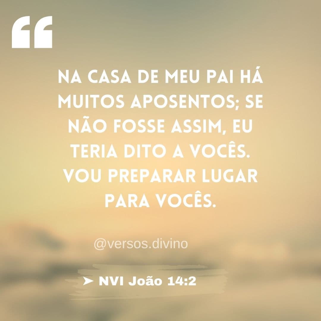 Na casa de meu Pai há muitas moradas: 40 versículos para lembrar que ...